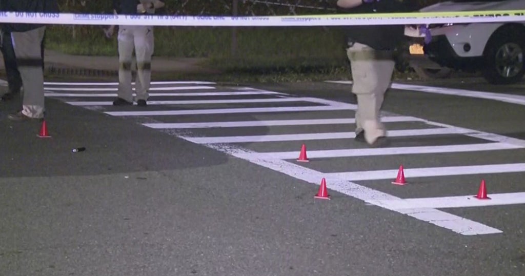 NYPD: Shooting Suspect Killed After Opening Fire On Officers In Queens ...