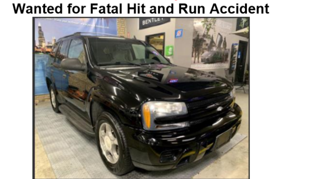 fatal-hit-and-run.png 