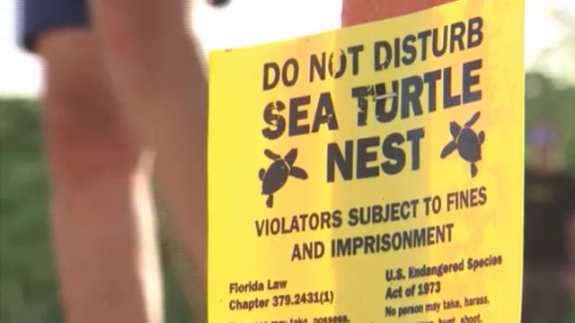 Sea-Turtle-Nest-Do-Not-Disturb-Sign.jpg 