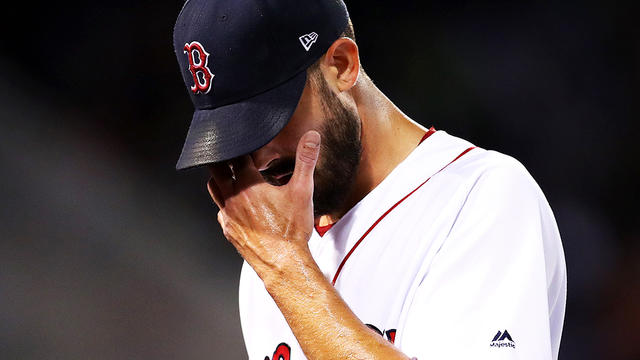 porcello.jpg 