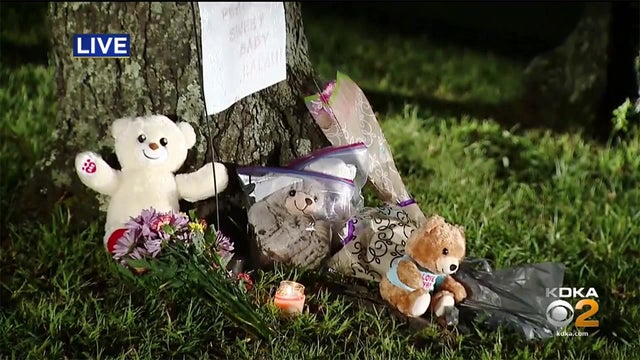 nalani-johnson-memorial.jpg 