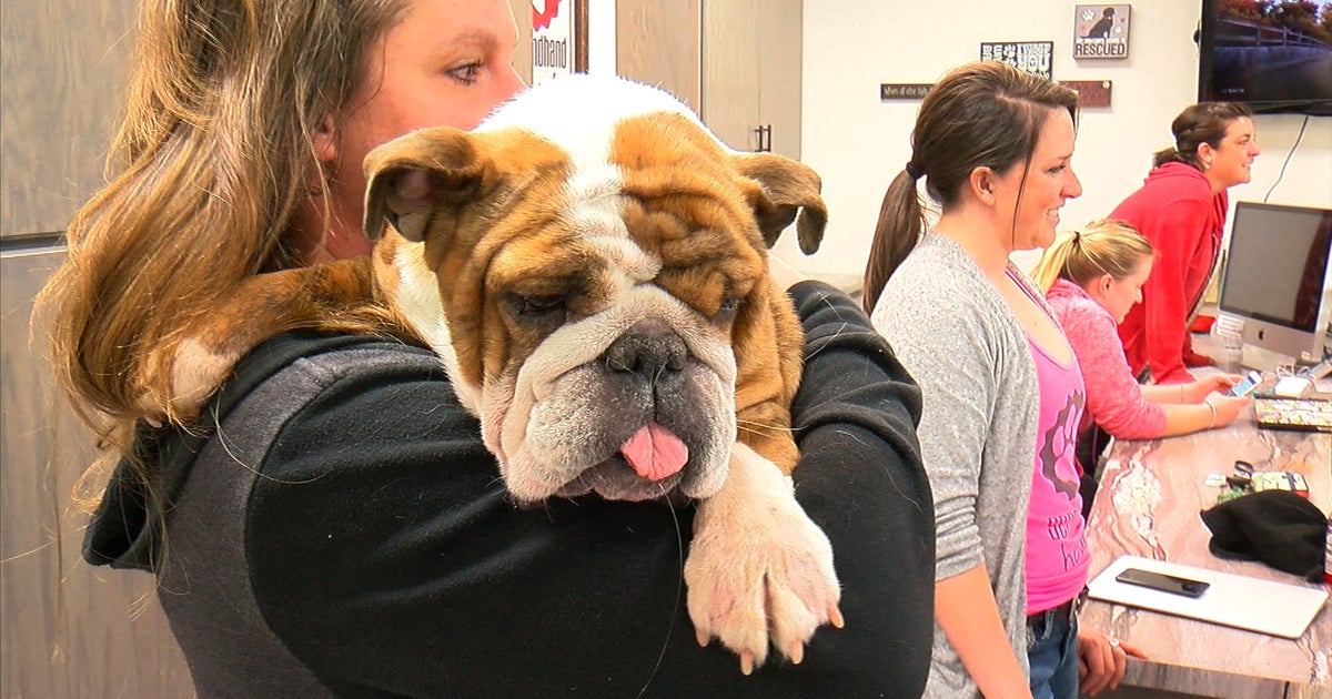 Secondhand Hounds Throws 'Bone Appetit Gala' - CBS Minnesota