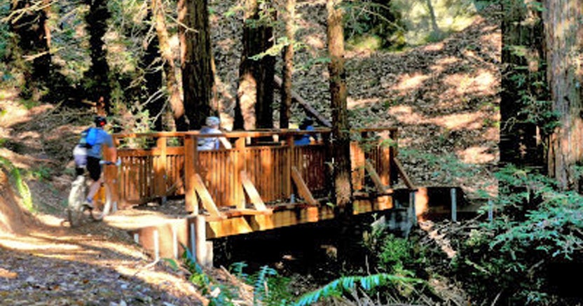 New Trail Opens in El Corte de Madera Creek Preserve Near Woodside