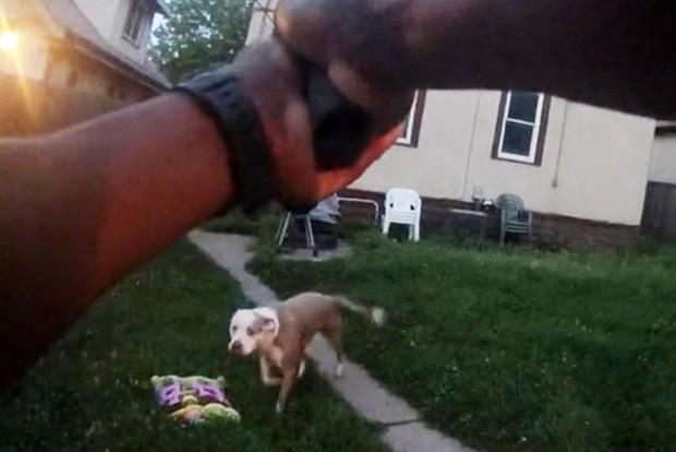 Body Camera Footage Of Minneapolis Police Officer Shooting Dog 