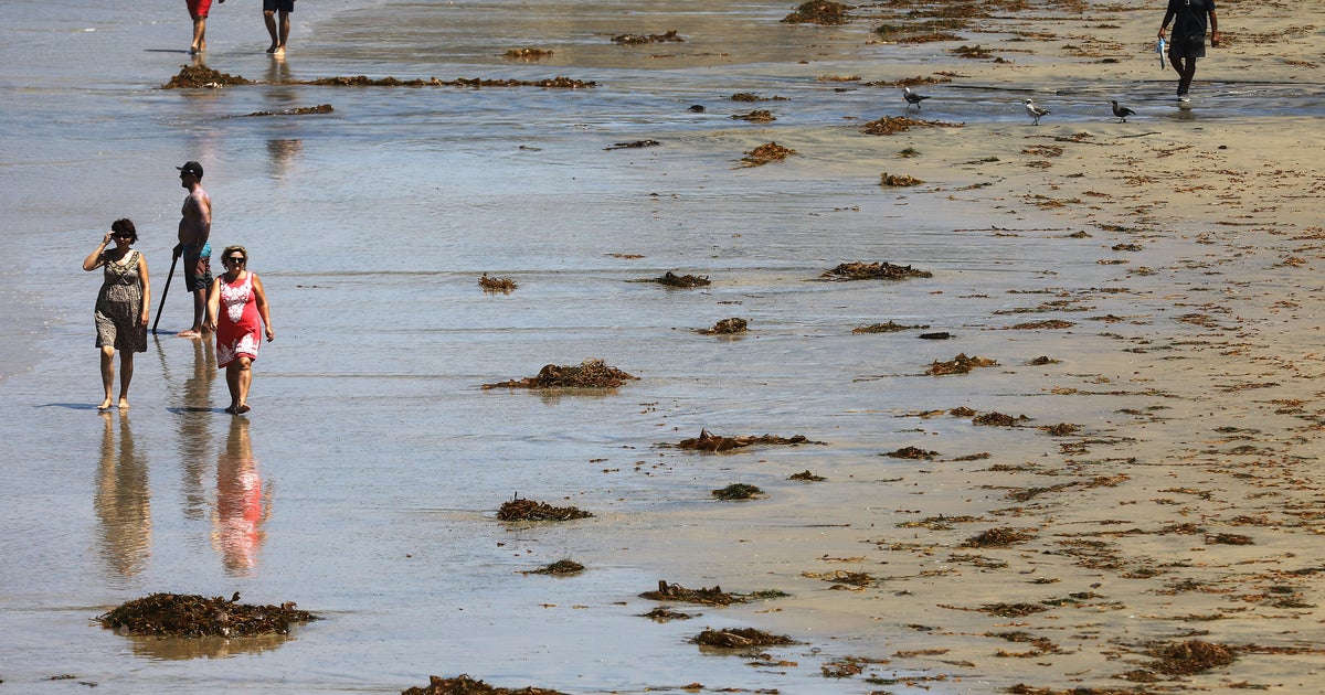 Southern California Ocean Temperature Breaks 103-Year Record For ...
