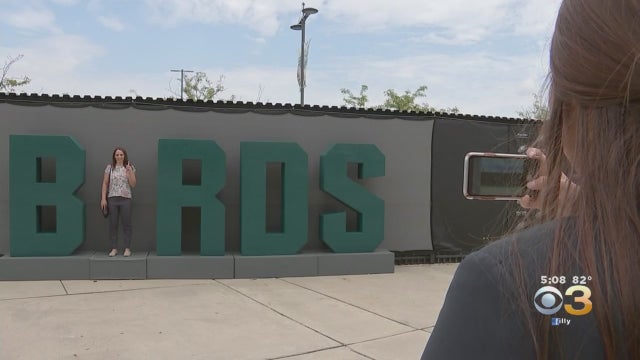 Eagles-fans-1.jpg 