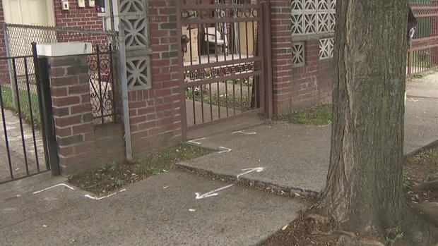 city-sidewalk-tree-damage 