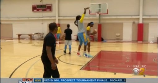 Sky Face A Tough Test In Playoff Return - CBS Chicago