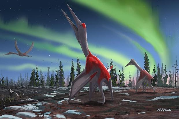 USC Scientist Discover New 'Frozen Dragon Of The North' Dinosaur Species 
