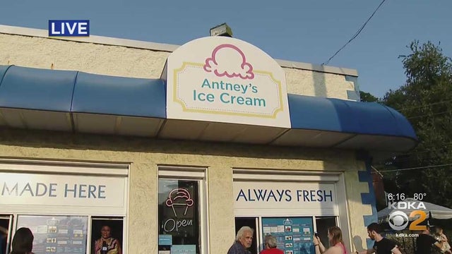 ANTNEYS.jpg 