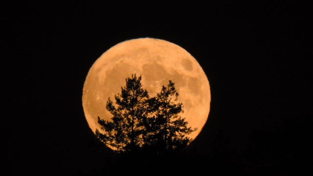 harvest_moon_2_91319.jpg 