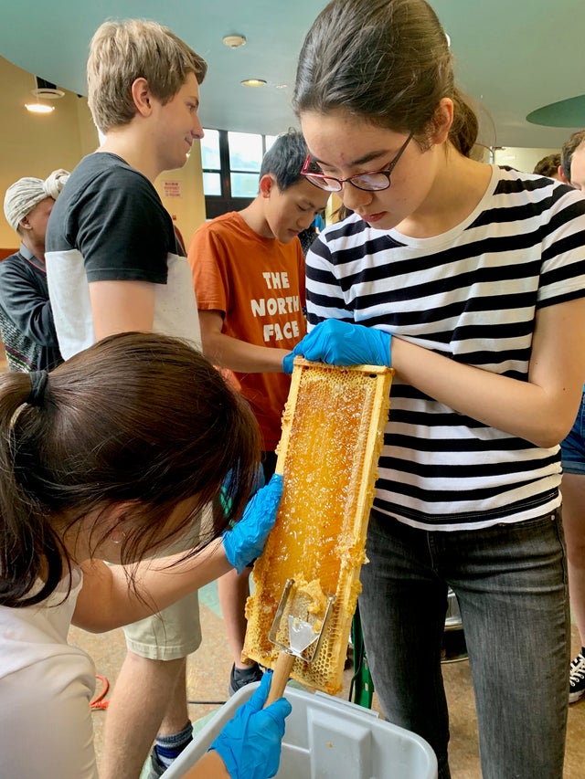 Honey Harvest Day At Mamaroneck High School 