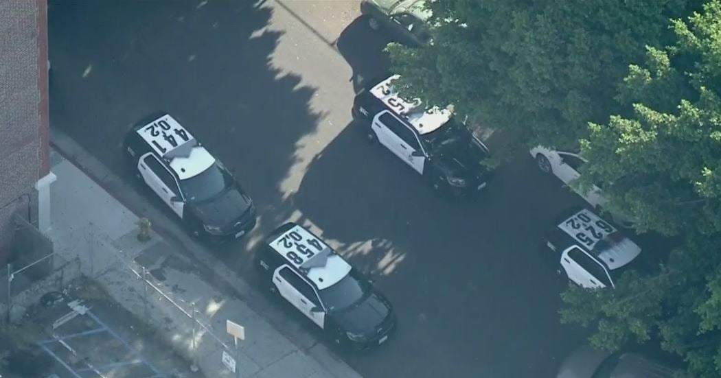 MACARTHUR PARK LOS ANGELES CRIME visual data 5