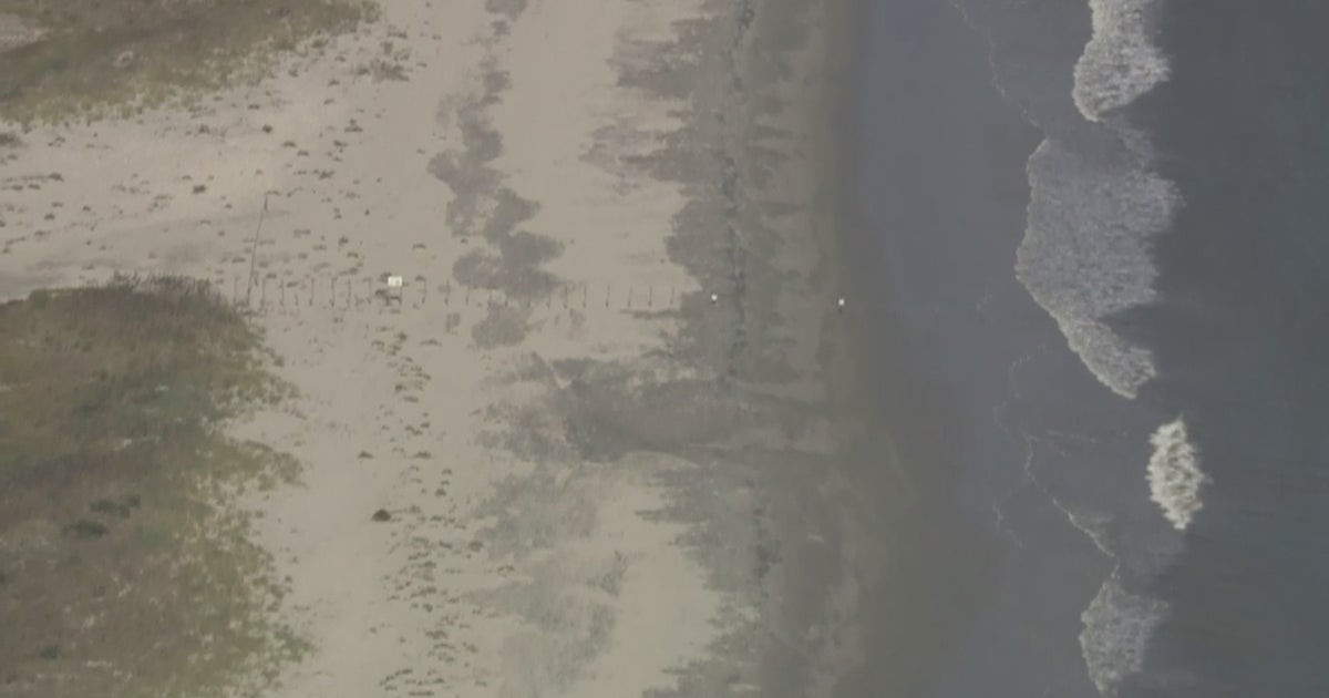 Woman Walking Dog Discovers Human Skull On Beach In Egg Harbor Township