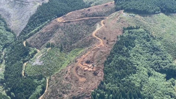 clear-cut-mountain-top-oregon-620.jpg 