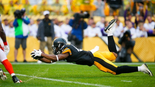 steelergrimble.jpg