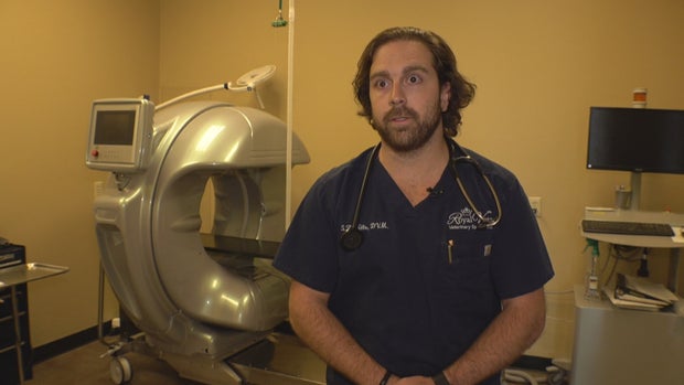 DOGS AND VAPING DEVICES 3