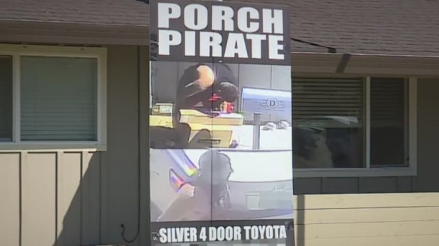 PORCH-PIRATE.jpg 