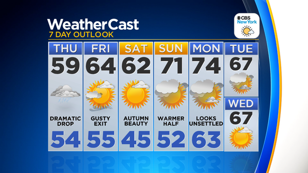 Nu_Tu_7Day_Auto_Logo 