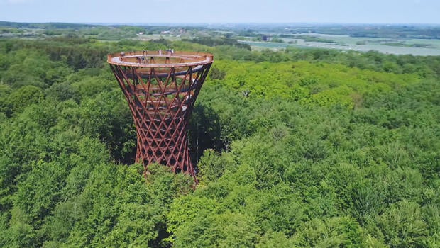 A spiraling walk above the trees - CBS News