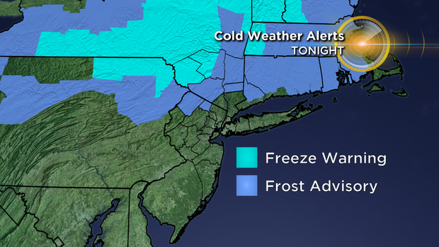 Nu_Tu_Alert_Freeze 1 