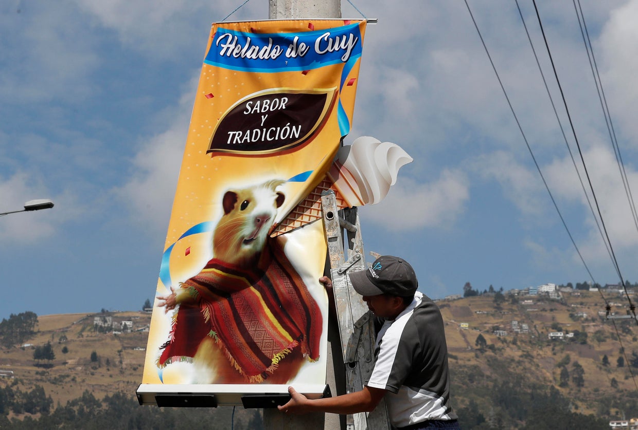 Ecuador Guinea Pig Ice Cream 