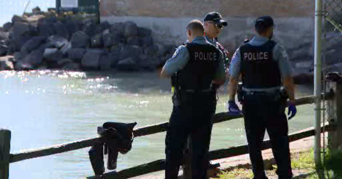 Body Found In Lake Michigan Offshore From Rogers Park - CBS Chicago