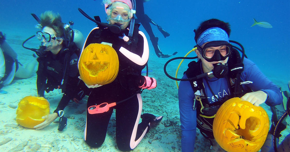 Divers Got Creative During Keys Underwater Pumpkin Carving Competition -  CBS Miami