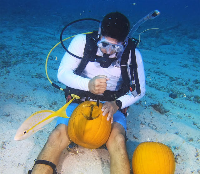 Divers Got Creative During Keys Underwater Pumpkin Carving Competition -  CBS Miami