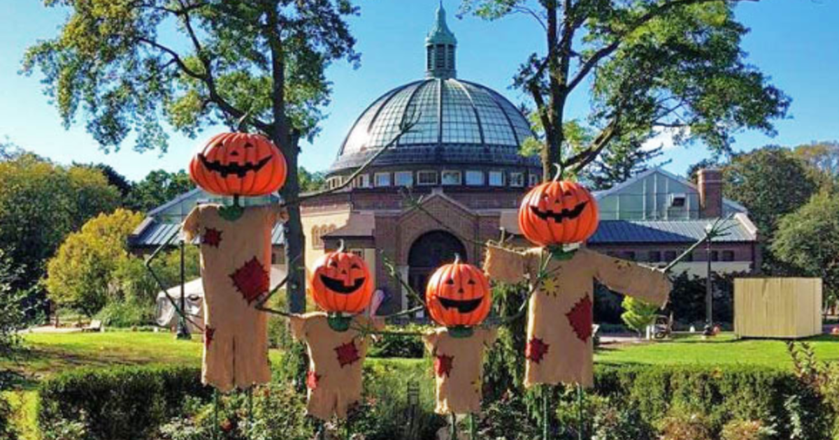 Zoo Boo At The Detroit Zoo Here's What To Expect At The Family