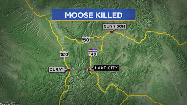 Lake City MOOSE KILLED MAP_frame_947 