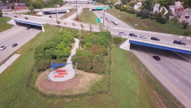 The Idle An oasis in the midst of traffic CBS News