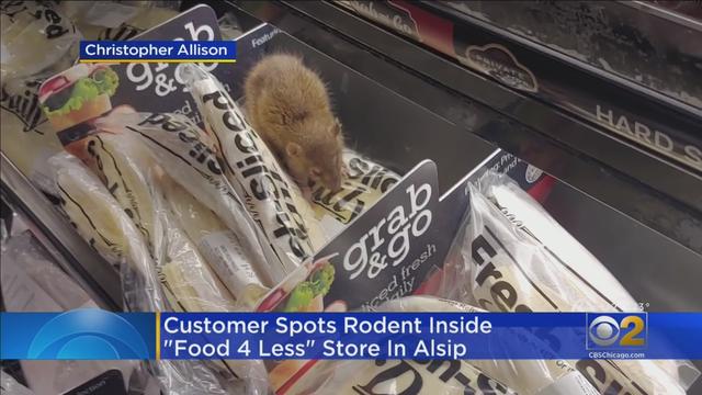 Alsip-grocery-mouse.jpg 