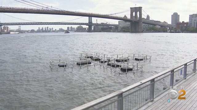 New East River Sculpture Changes Colors Based On Water New East River Sculpture Changes Colors Based On Water