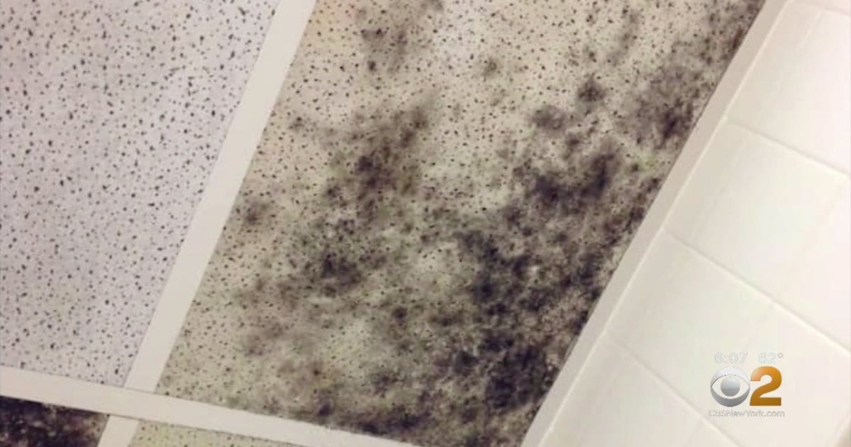 SUNY Old Westbury Students Protest What They Claim Is Mold Problem In ...