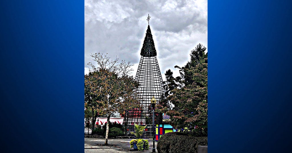 Kennywood Gets 100Foot Tall Christmas Tree Ready For Holiday Lights