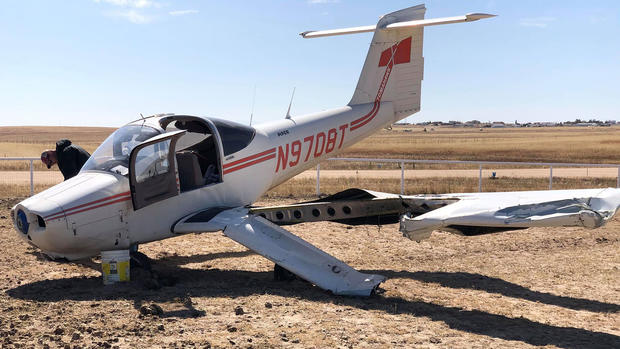 Plane Kills Pregnant Horse 1 (CREDIT Julie Shook).png 