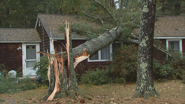 duxbury-tree-storm-damage.jpg 