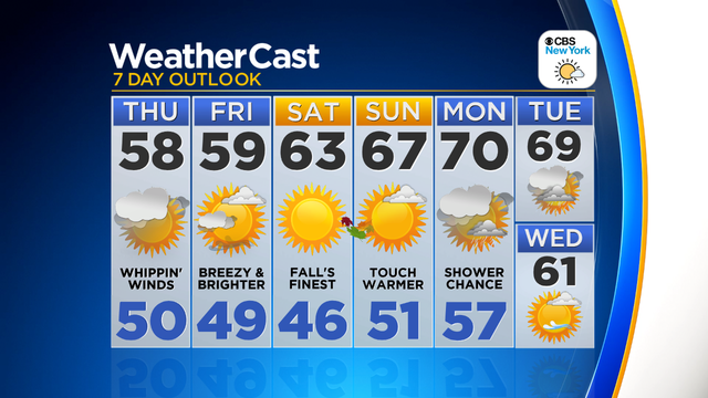 Nu_Tu_7Day_Auto_Logo 