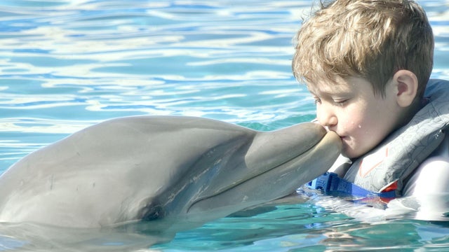 Greyson-kissing-dolphin.jpg 