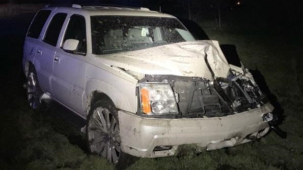 Driver-Kills-Cow-In-Stearns-County.jpg 