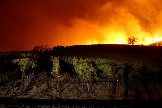 Evacuations Issued For Parts of Sonoma County As Kincade Fire Spreads 