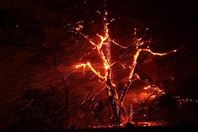 Evacuations Issued For Parts of Sonoma County As Kincade Fire Spreads 