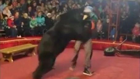 russia-bear-attack-circus.jpg 