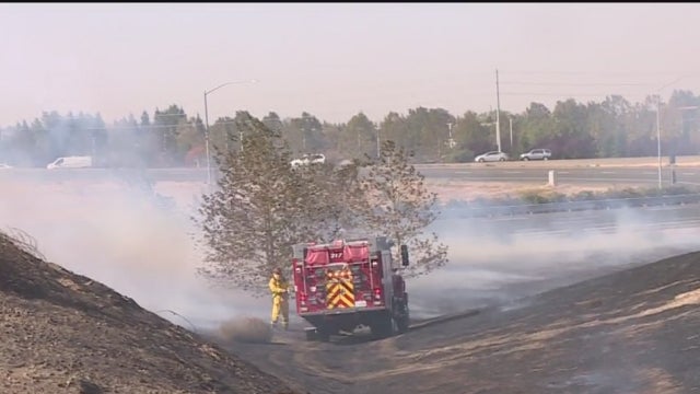NATOMAS-GRASS-FIRe.jpg 