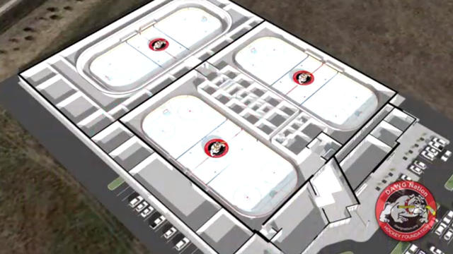 hockey-plan.jpg 