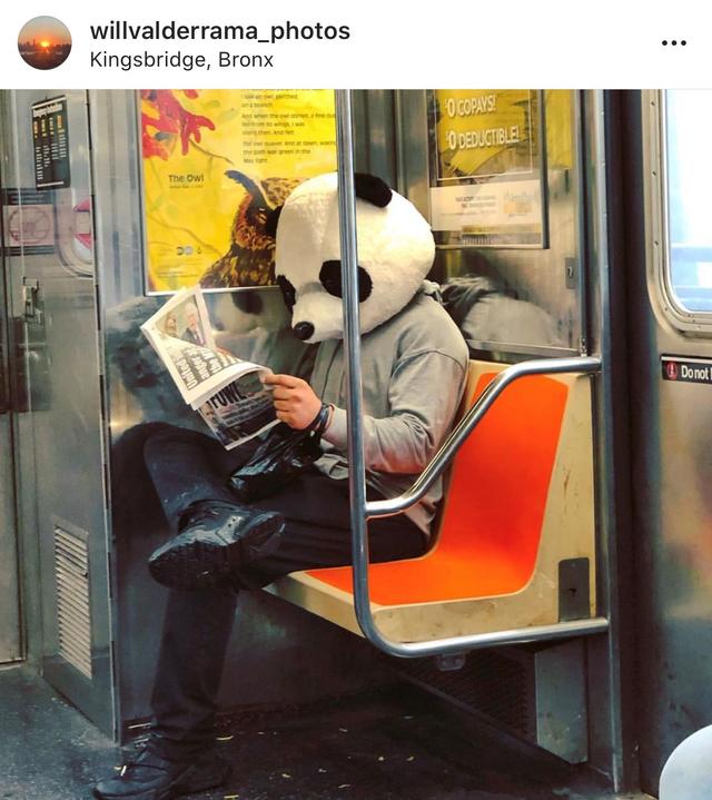 PERSON-IG-@willvalderrama_photos.jpg 