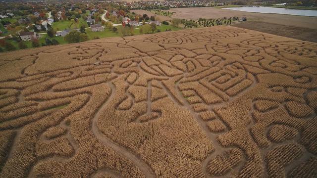 1101-ctm-cornmaze-strassman-1967833-640x360.jpg 