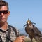 How falcons protect vineyards