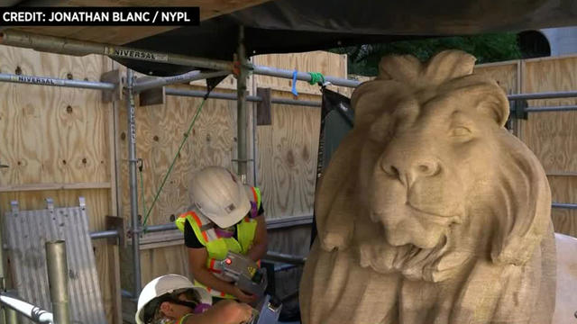 newyorkpubliclibrarylion.jpg 